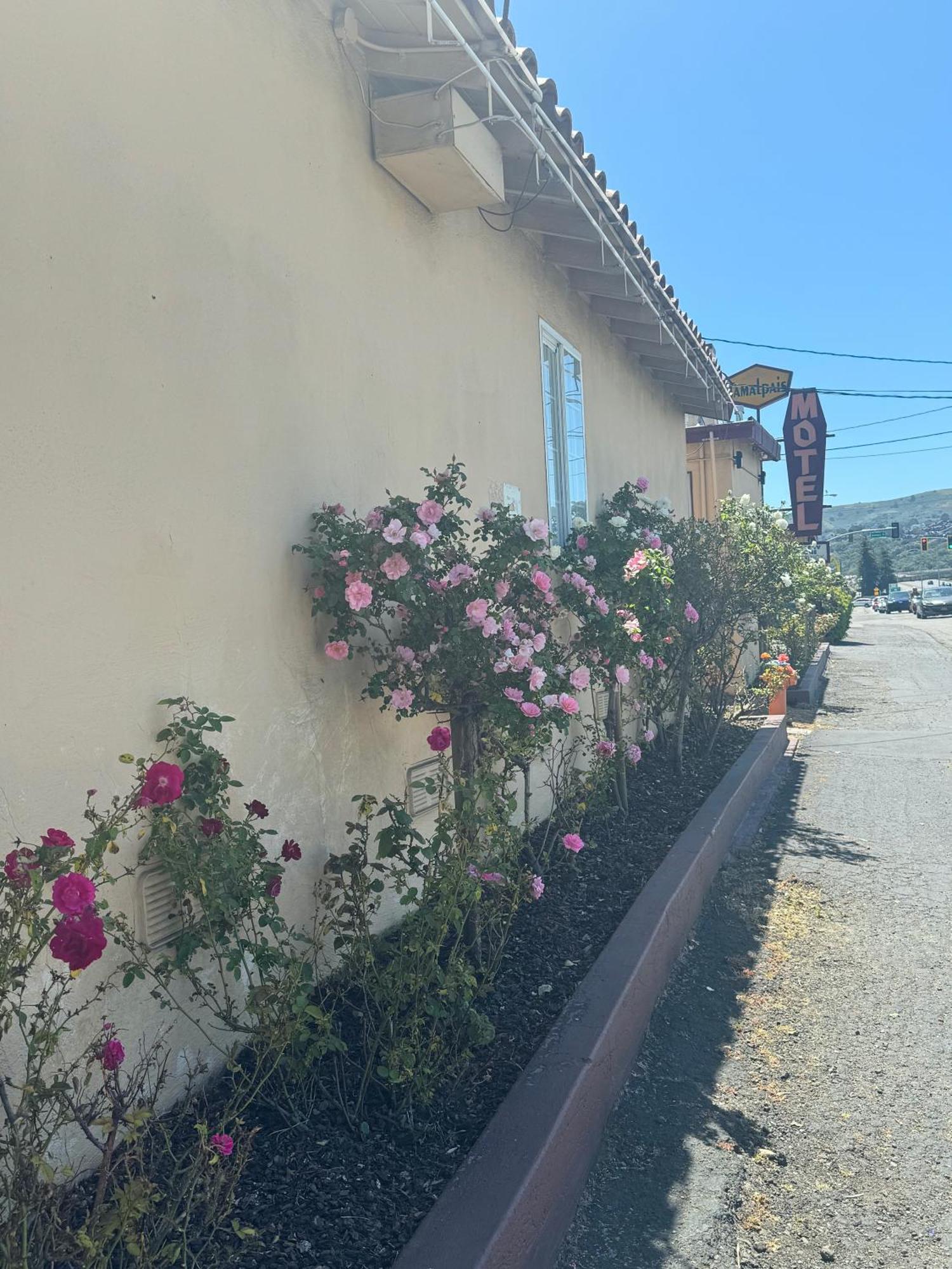 Tamalpais Motel Mill Valley Exterior foto
